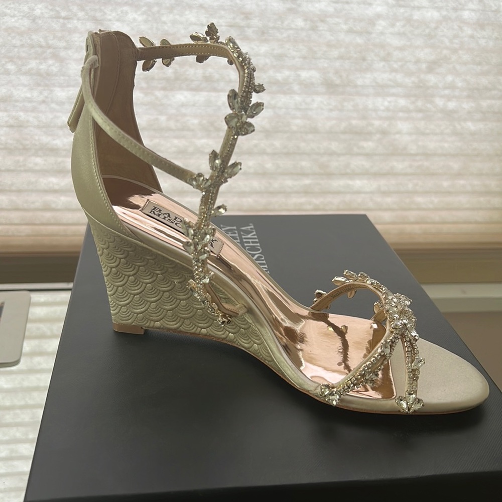 Badhley Mischka shoe